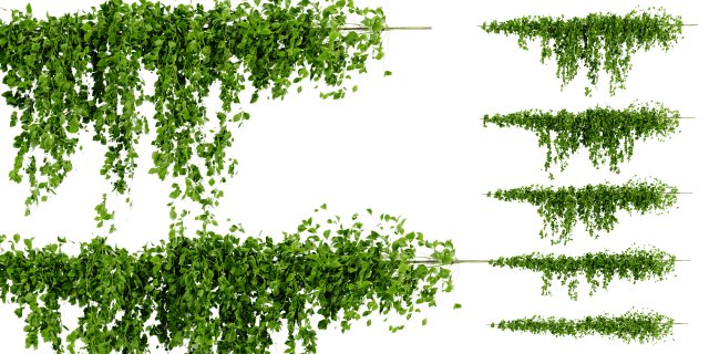 Collection Plant Vol 435 - Blender Model 3D Model .c4d .max .obj .3ds .fbx .stl .blend 