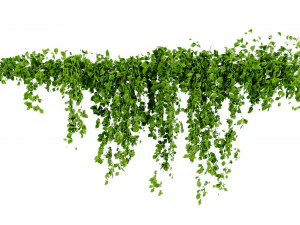 Collection Plant Vol 435 - Blender Model 3D Model