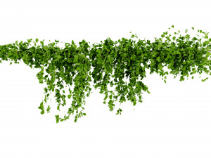 Collection Plant Vol 435 - Blender Model 3D Model