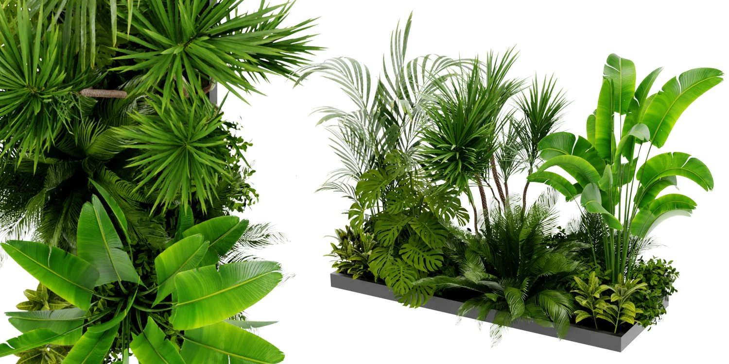 Collection Plant Vol 436 - Blender Model 3D Model .c4d .max .obj .3ds .fbx .stl .blend 