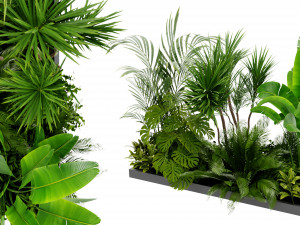 Collection Plant Vol 436 - Blender Model Modèle 3D