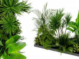 Коллекция Plant Vol. 436 - Модель блендера 3D Модель