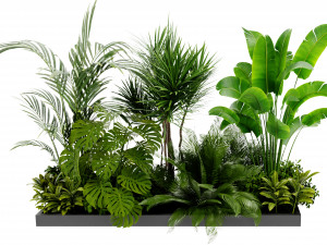 Collection Plant Vol 436 - Blender Model Modelo 3D