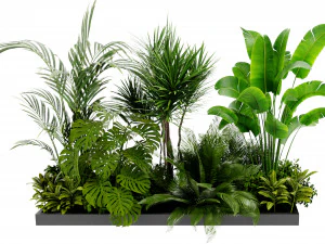 Collection Plant Vol 436 - Blender Model 3D Model