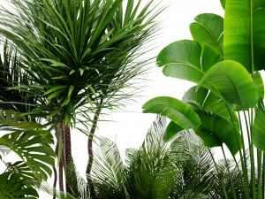 Collection Plant Vol 436 - Blender Model Modelo 3D