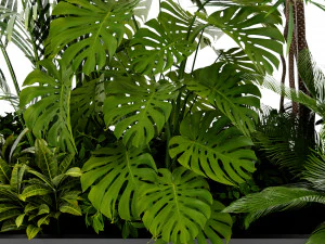 Collection Plant Vol 436 - Blender Model 3D Model