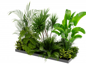 Collection Plant Vol 436 - Blender Model Modelo 3D