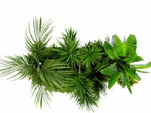 Collection Plant Vol 436 - Blender Model Modelo 3D