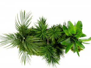 Collection Plant Vol 436 - Blender Model 3D Model