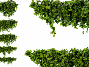 Collection Plant Vol 437 - Blender Model 3D Model