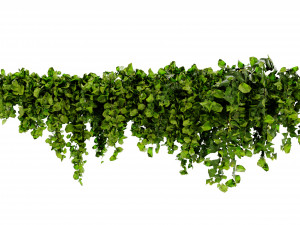 Collection Plant Vol 437 - Blender Model 3D Model