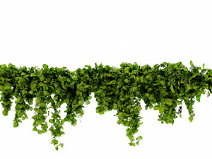 Collection Plant Vol 437 - Blender Model 3D Model