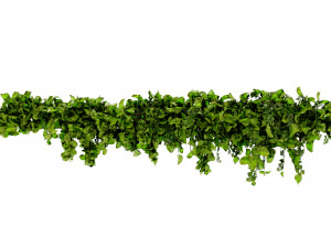 Collection Plant Vol 437 - Blender Model 3D Model