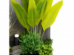 Collection Plant Vol 438 - Blender Model 3D मॉडल