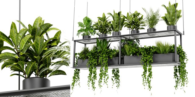 Collection Plant Vol 439 - Blender Model 3D Model .c4d .max .obj .3ds .fbx .stl .blend 