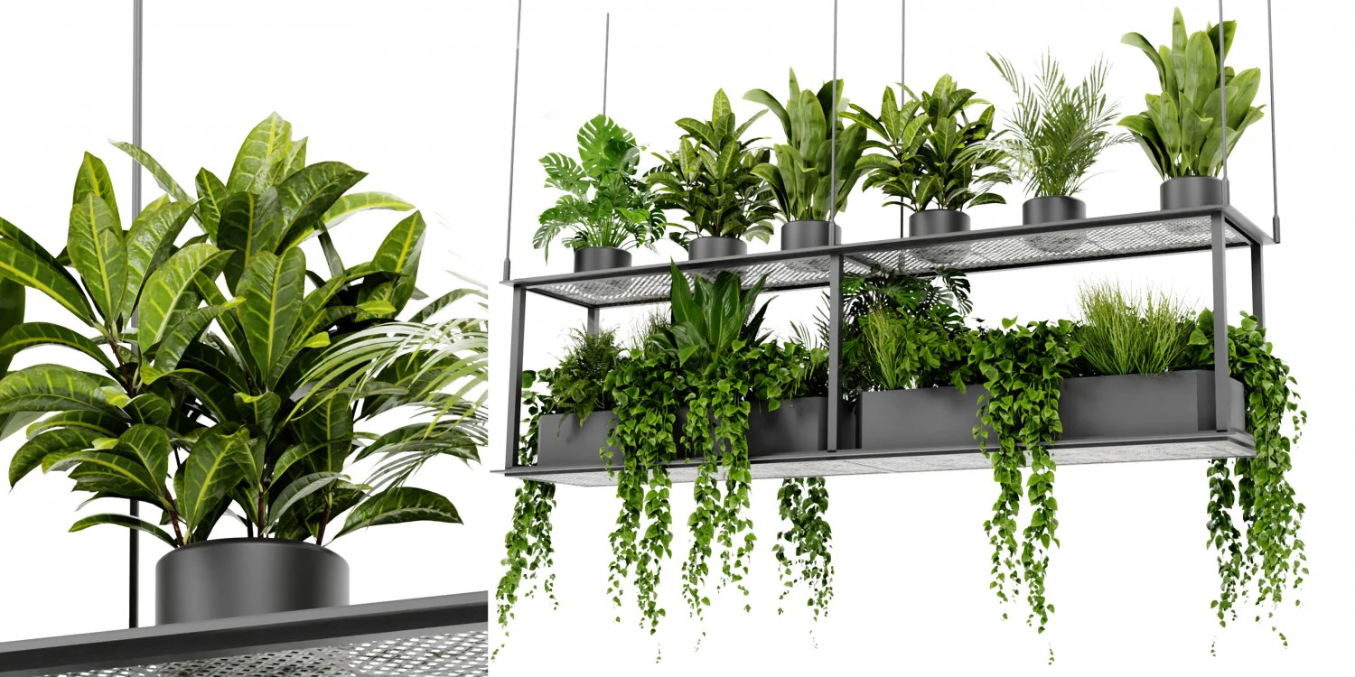 Collection Plant Vol 439 - Blender Model 3D Model .c4d .max .obj .3ds .fbx .stl .blend
