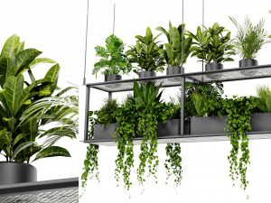 Collection Plant Vol 439 - Blender Model 3Dモデル
