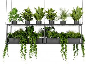 Collection Plant Vol 439 - Blender Model 3D Model