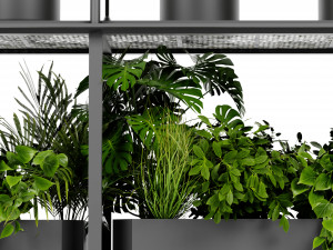 Collection Plant Vol 439 - Blender Model 3D Model