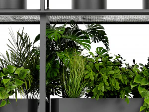Collection Plant Vol 439 - Blender Model 3D Model