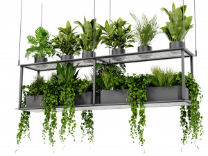 Collection Plant Vol 439 - Blender Model 3D Model