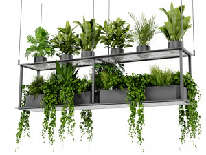 Collection Plant Vol 439 - Blender Model 3D Model