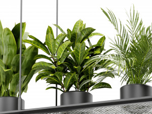 Collection Plant Vol 439 - Blender Model 3D Model