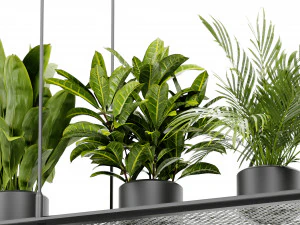 Collection Plant Vol 439 - Blender Model 3D Model