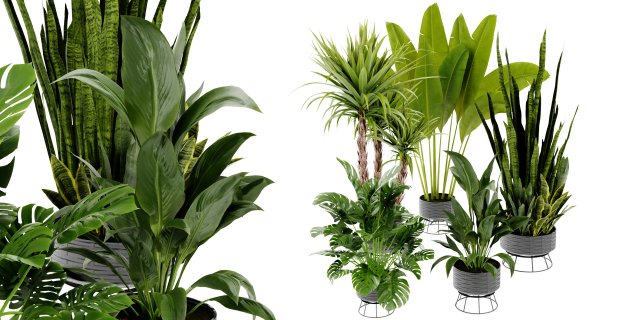 Collection Plant Vol 440 - Blender Model 3Dモデル .c4d .max .obj .3ds .fbx .stl .blend