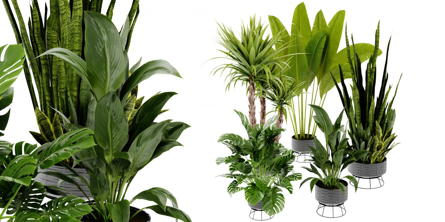 Collection Plant Vol 440 - Blender Model 3D Model .c4d .max .obj .3ds .fbx .stl .blend 