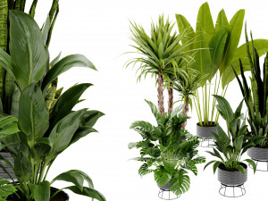 Collection Plant Vol 440 - Blender Model 3D मॉडल