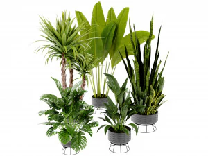 Collection Plant Vol 440 - Blender Model 3D Model