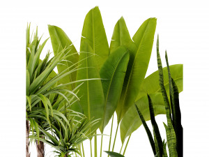 Collection Plant Vol 440 - Blender Model 3Dモデル