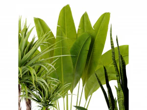 Collection Plant Vol 440 - Blender Model 3D Model