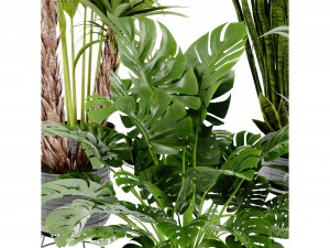 Collection Plant Vol 440 - Blender Model 3D Model