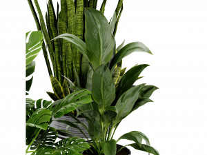 Collection Plant Vol 440 - Blender Model 3Dモデル