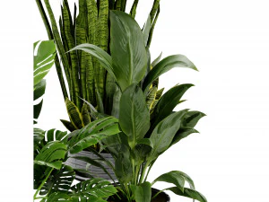 Collection Plant Vol 440 - Blender Model 3D Model