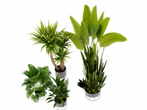 Collection Plant Vol 440 - Blender Model 3Dモデル