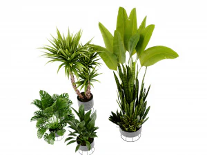 Collection Plant Vol 440 - Blender Model 3D Model