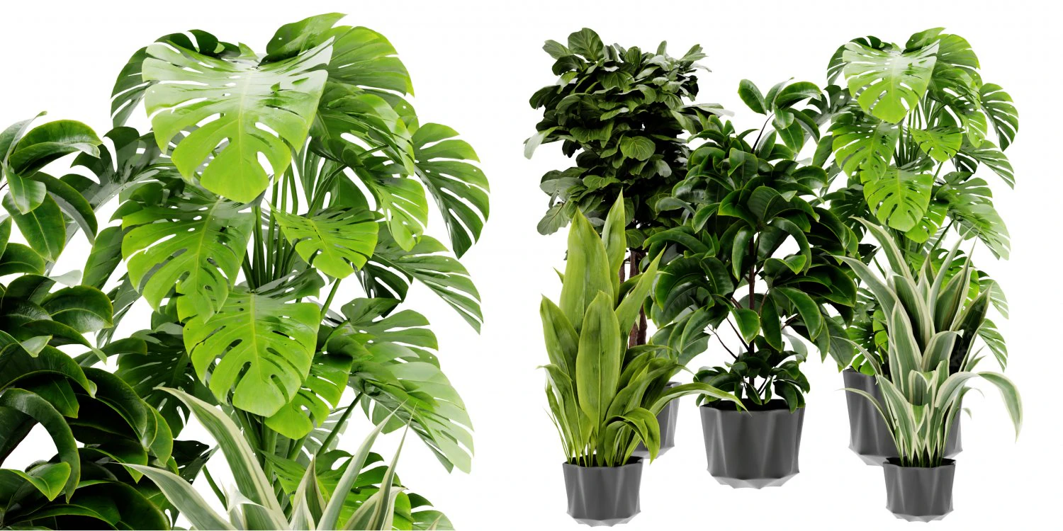 Collection Plant Vol 441 - Blender Model 3D Model .c4d .max .obj .3ds .fbx .stl .blend 