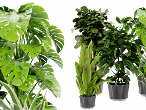 Collection Plant Vol 441 - Blender Model Modèle 3D