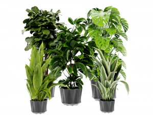 Collection Plant Vol 441 - Blender Model 3D Model