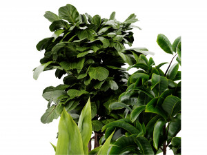 Collection Plant Vol 441 - Blender Model 3D 모델