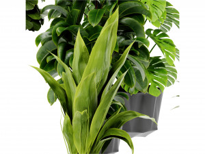 Collection Plant Vol 441 - Blender Model 3D 모델