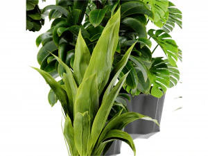 Collection Plant Vol 441 - Blender Model 3D Model