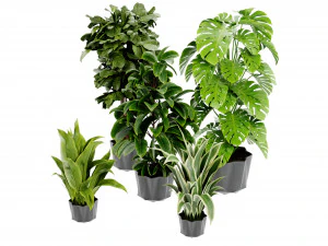 Collection Plant Vol 441 - Blender Model 3D Model