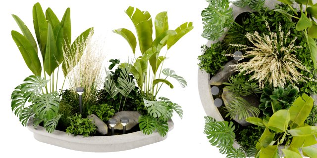 Collection Plant Vol 442 - Blender Model 3D 模型 .c4d .max .obj .3ds .fbx .stl .blend 