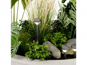 Collection Plant Vol 442 - Blender Model 3D Model