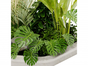 Collection Plant Vol 442 - Blender Model 3D 模型