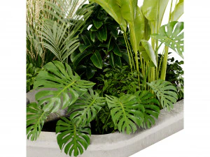 Collection Plant Vol 442 - Blender Model 3D Model